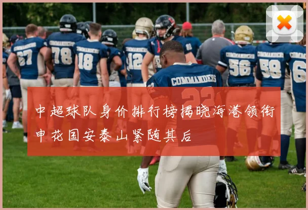 中超球队身价排行榜揭晓海港领衔申花国安泰山紧随其后