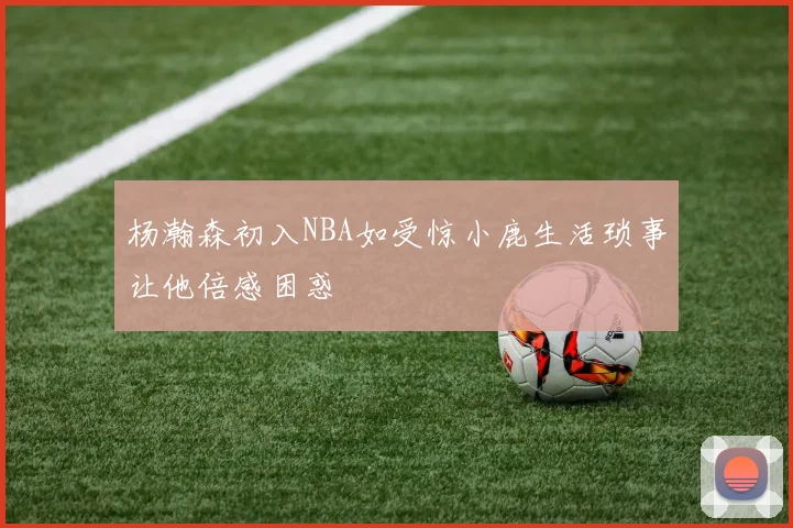 杨瀚森初入NBA如受惊小鹿生活琐事让他倍感困惑
