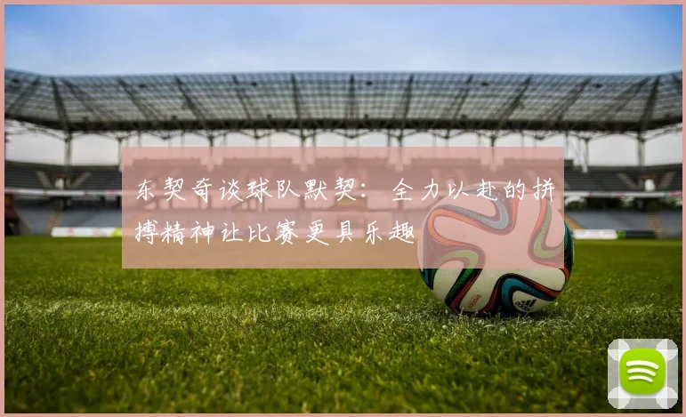 东契奇谈球队默契：全力以赴的拼搏精神让比赛更具乐趣