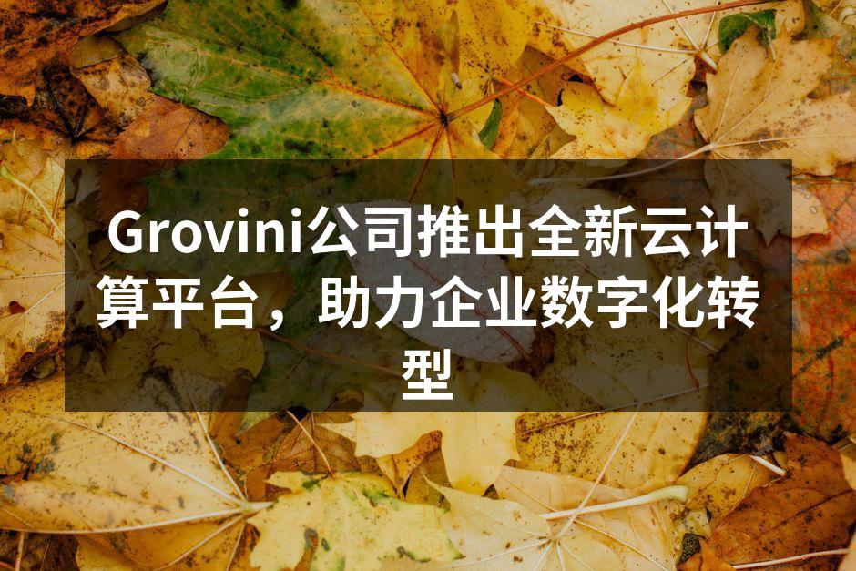 Grovini公司推出全新云计算平台，助