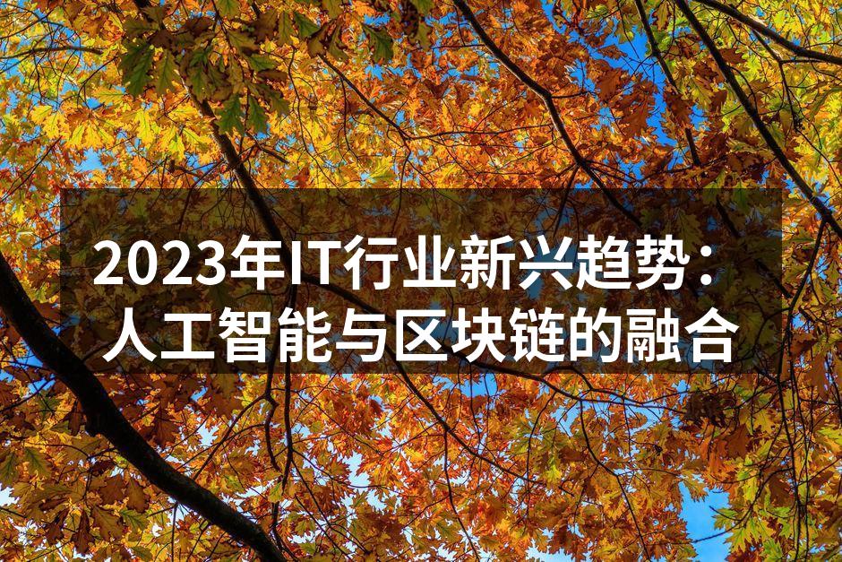 2023年IT行业新兴趋势：人工智能与区